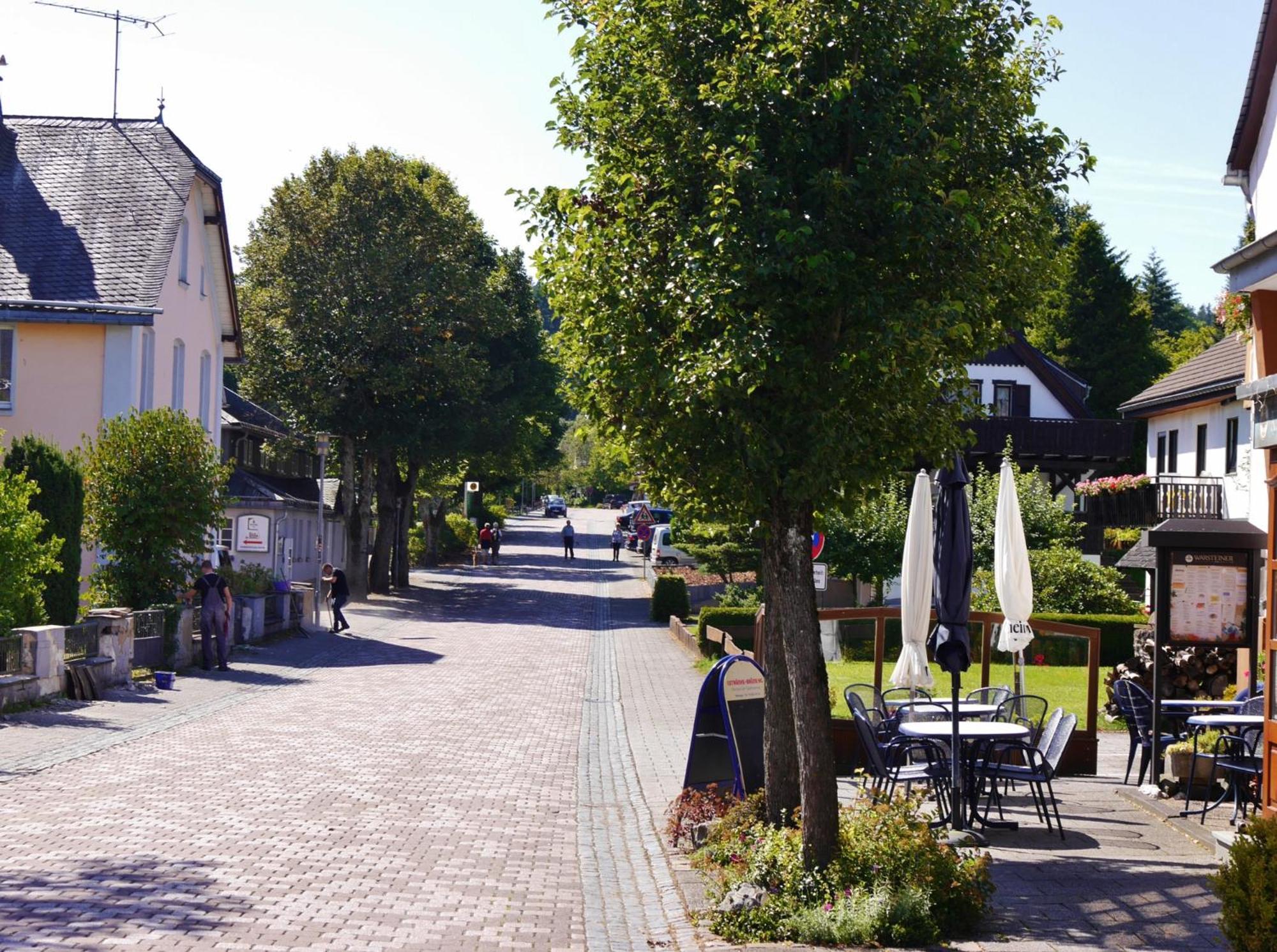 Appartement Happynest*** Mit Hallenbad Willingen  Buitenkant foto